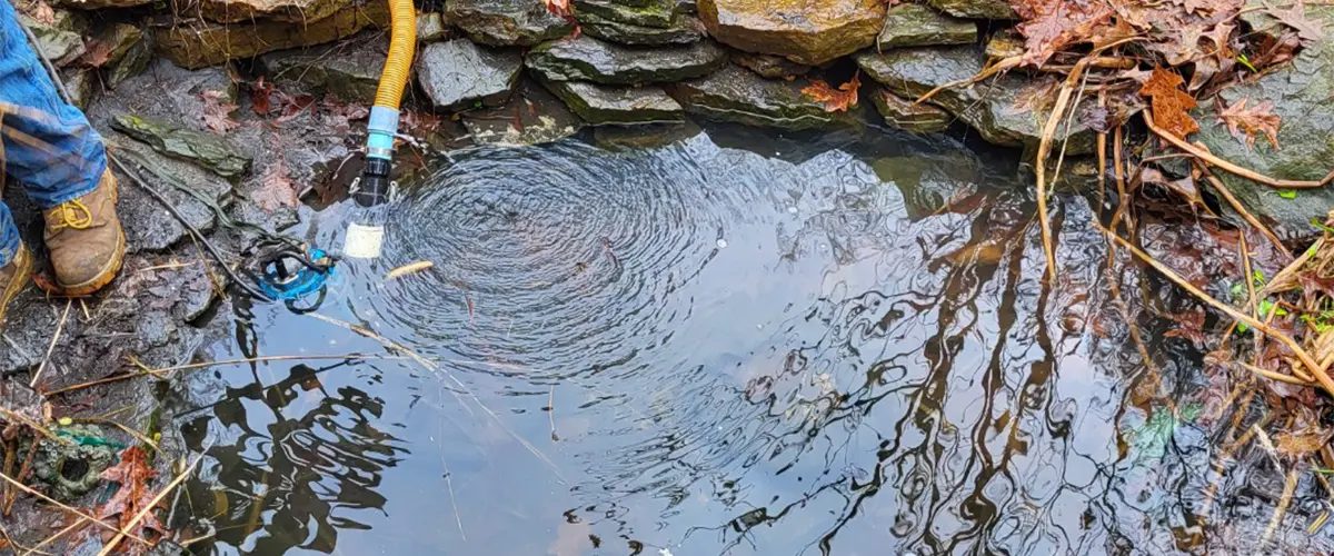 Cleaning a pond and adding helpful bacteria