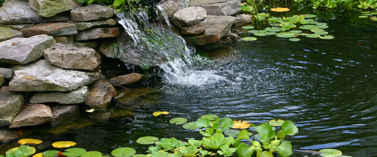 fresh water pond