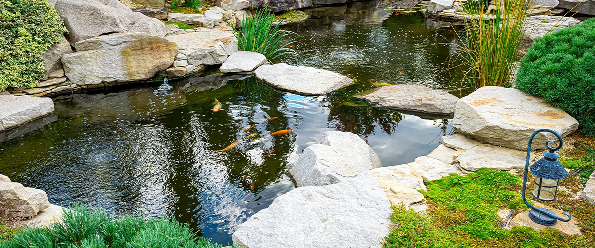 koi pond with two basins