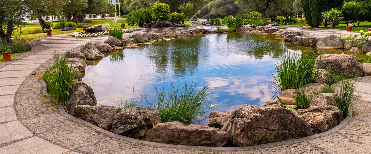 Large pond maintenance