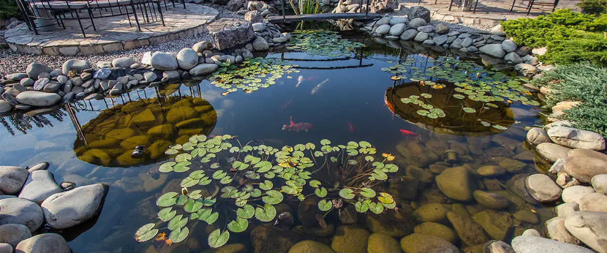 Medium pond maintenance