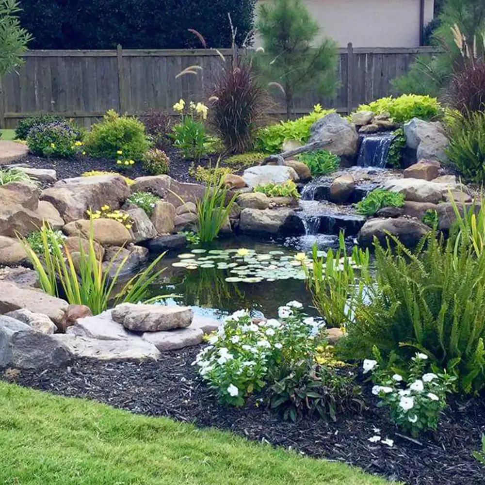 Pond Build 1