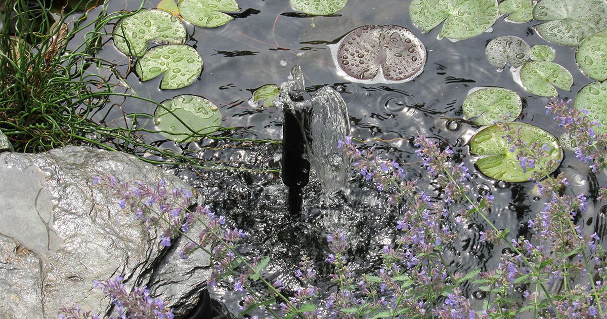 The Best Pond Cleaning In Gulf Breeze, FL Panhandle Ponds