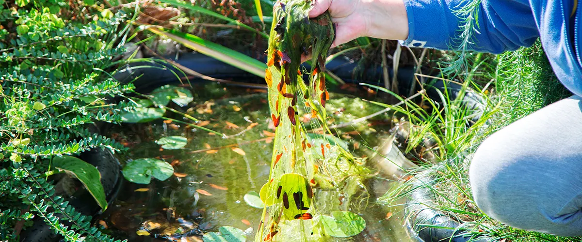 pond cleaning tools