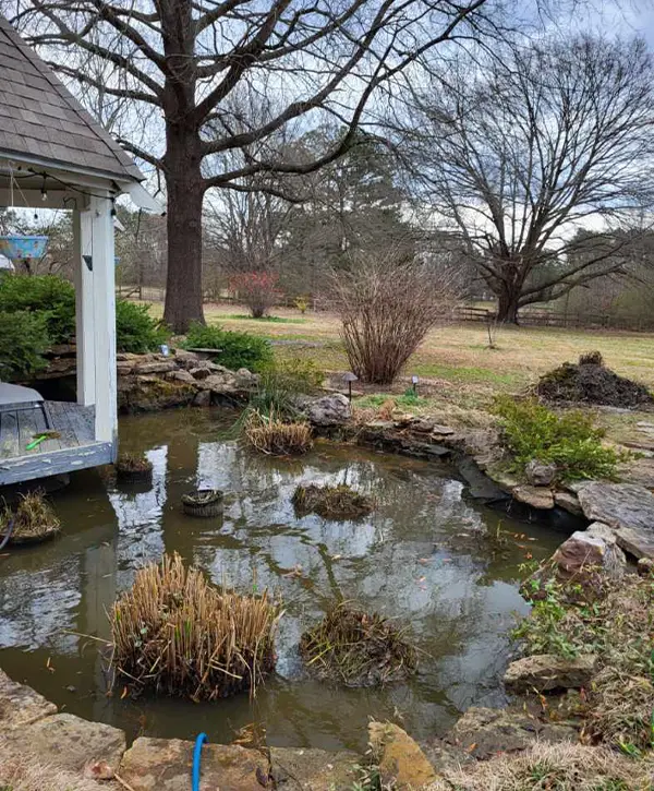 A pond cleaning in Pensacola, FL with dry weeds