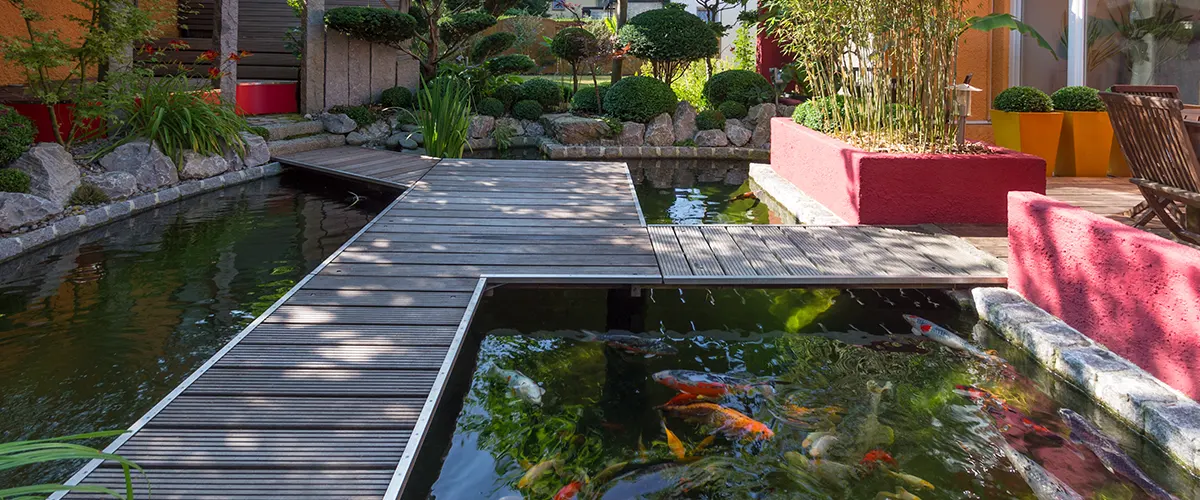 pond in backyard