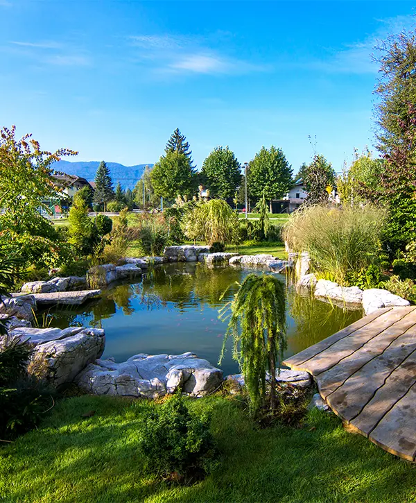 Pond in a large backyard