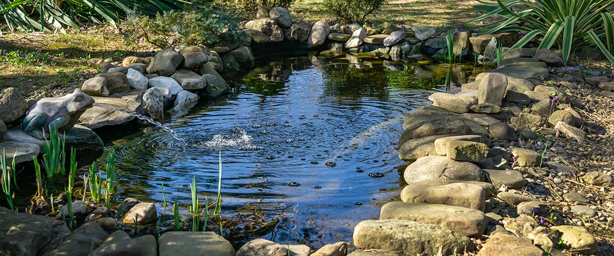 must have pond treatments