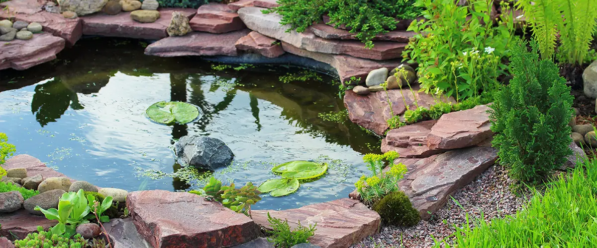 Small pond maintenance