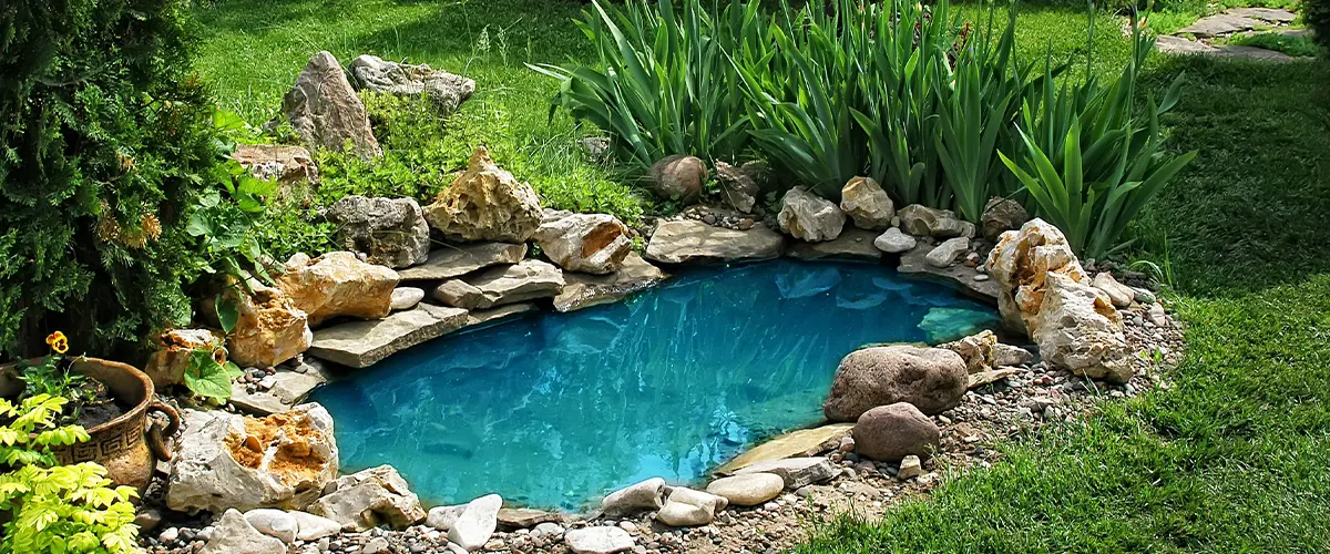 what does it take to have a pond at home