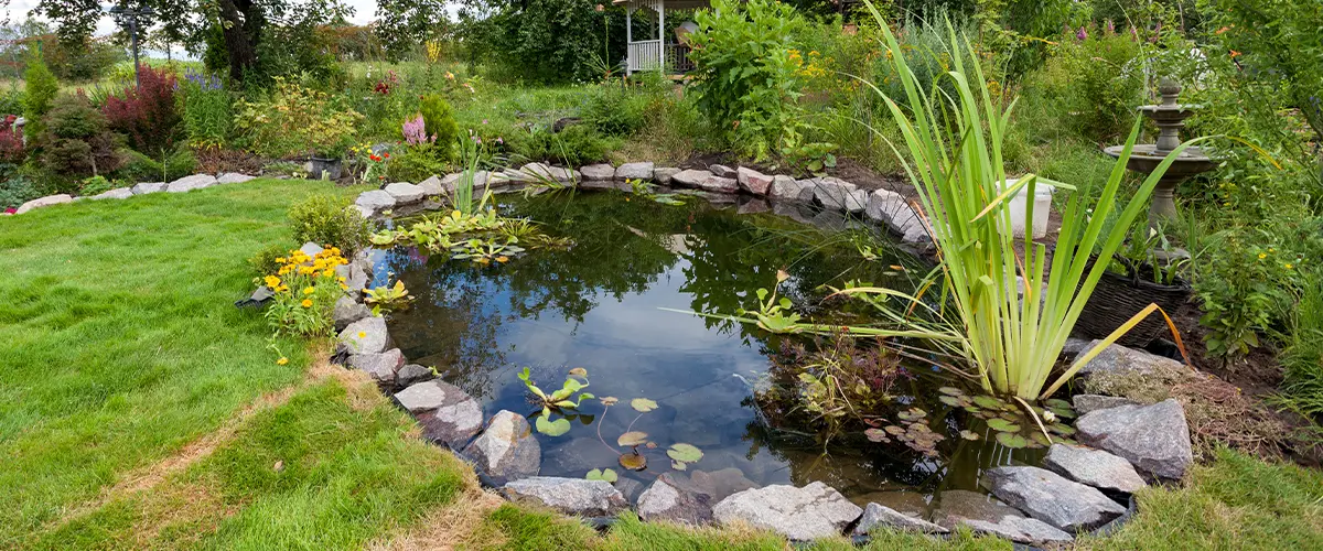 Backyard Pond Benefits