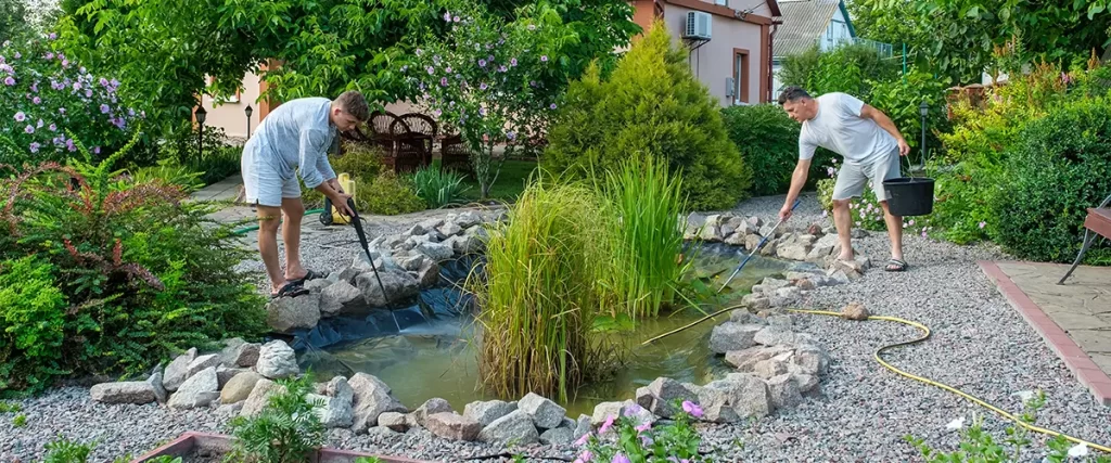 Learn How To Kill Cattails And Have A Cleaner Pond