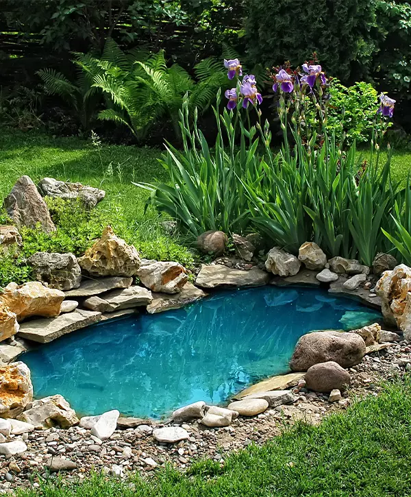 The Best Pond Building In Gulf Breeze garden pond