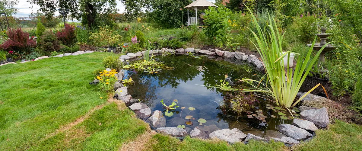 Beautiful designed garden fish pond with water-lily in a well cared backyard gardening background